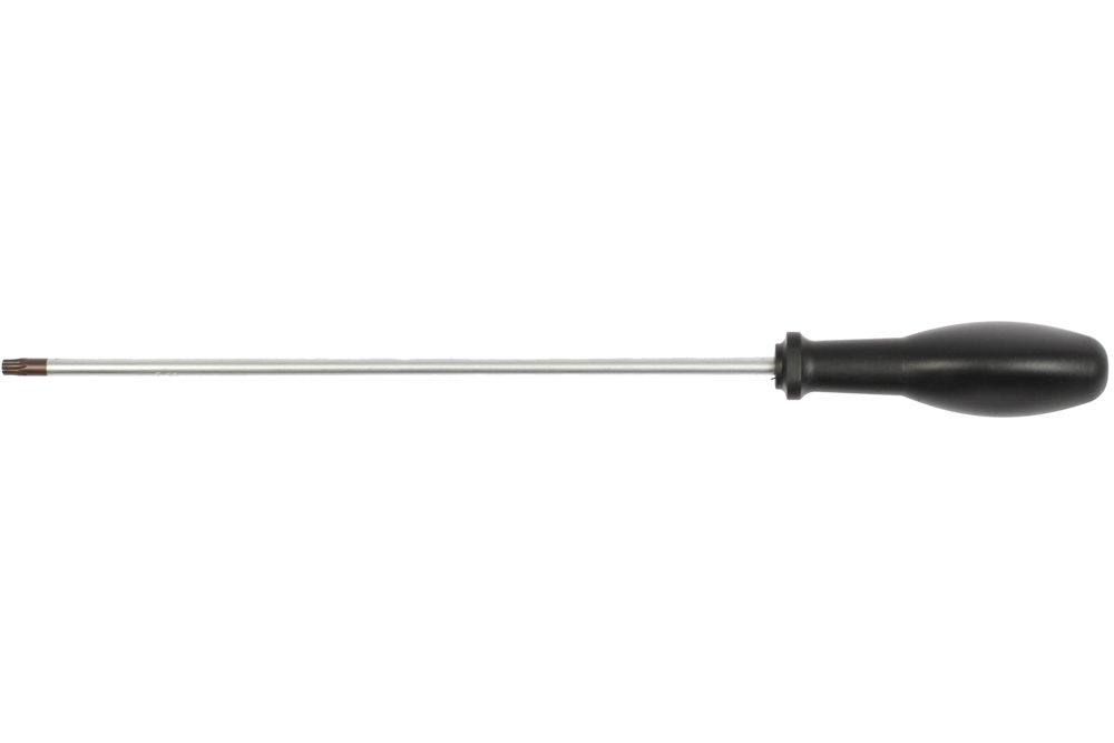 šroubovák Torx T30 x 250 mm, na panty dveří - Hlavní obrázek