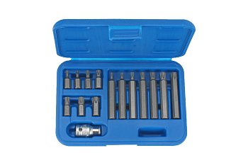 Bity 10 mm, Torx T20 - T55, sada 15 dílů - produktové foto