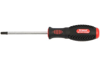 Šroubovák Torx T8 x 75 mm - produktové foto
